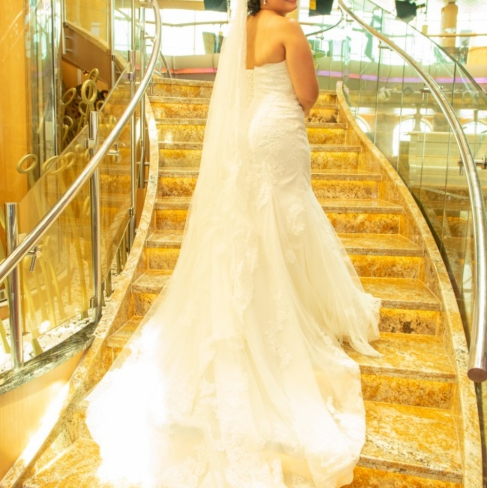 Pronovias White Faciel One Ivory Lace - Picture 4 of 7